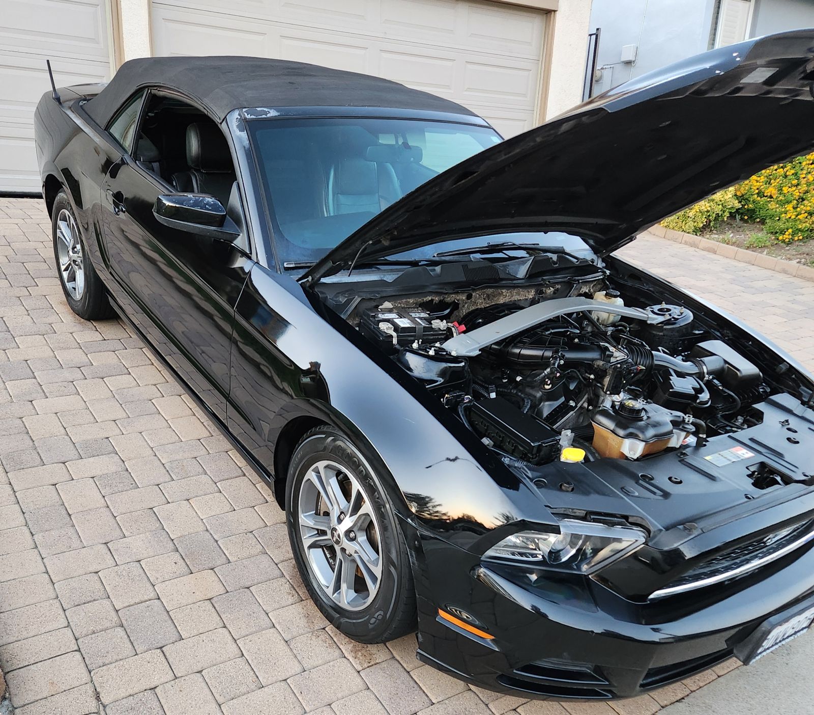Black Mustang convertible freshly detailed by Eric Young in a Crescenta Valley driveway