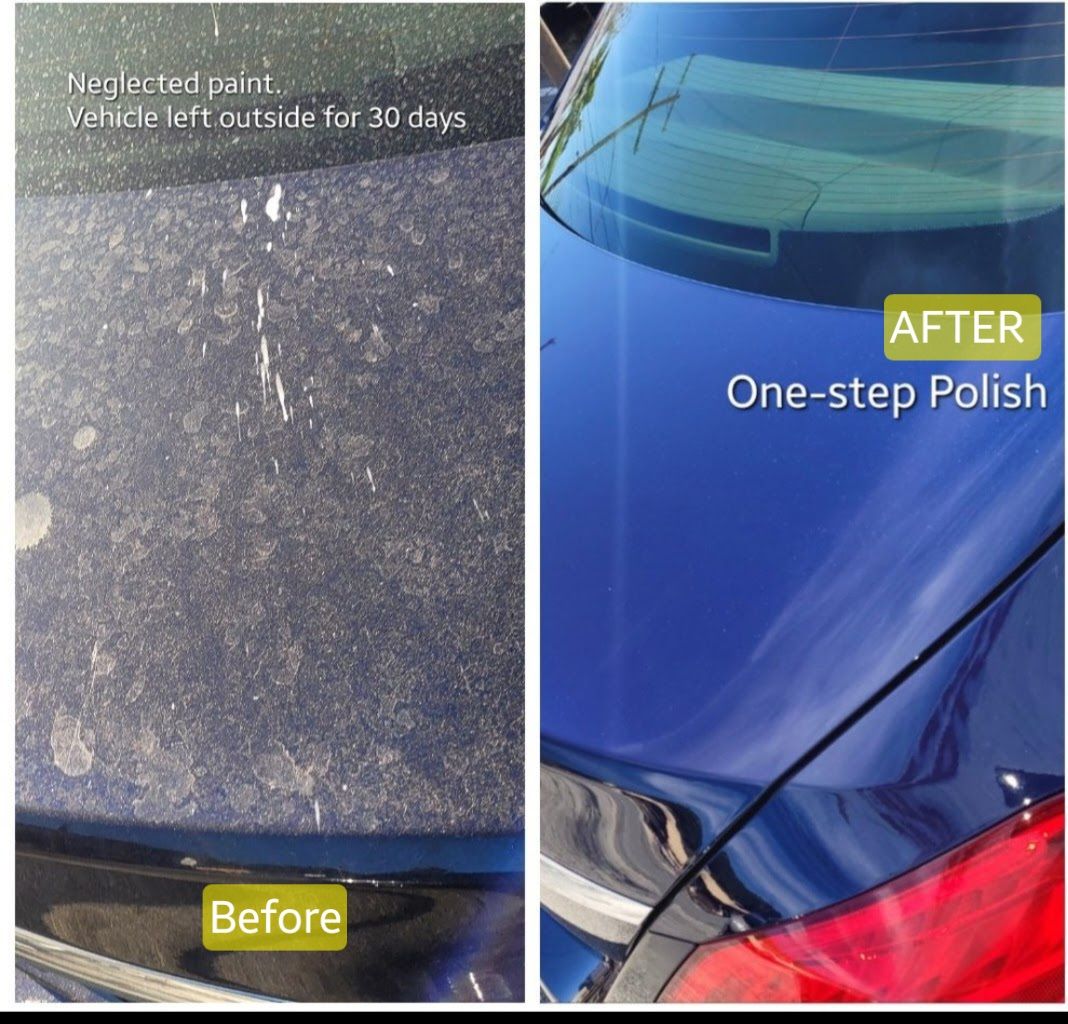 Neglected paint, brought back by Eric's Mobile Auto Spa, before and after